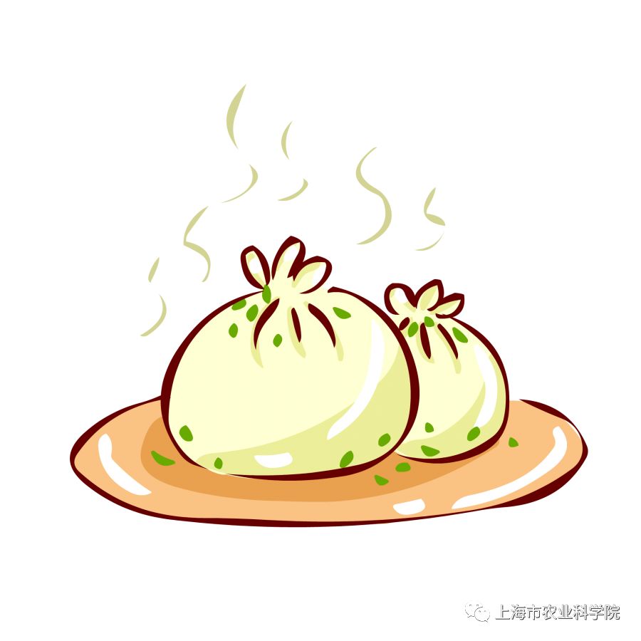 菜包子真是因为我们农科人的不懈努力,让我们在炎炎夏日也能品味到