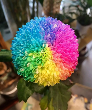 马克花艺|1分钟get染色技巧,让你的作品更有料!