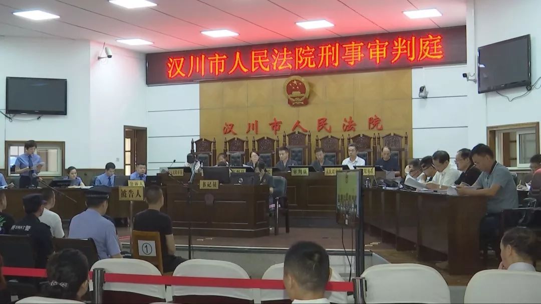 汉川法院公开庭审李某江等8人涉黑案