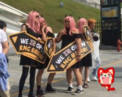 rng全员女装营业化身姿态姐姐正脸真叫人难顶