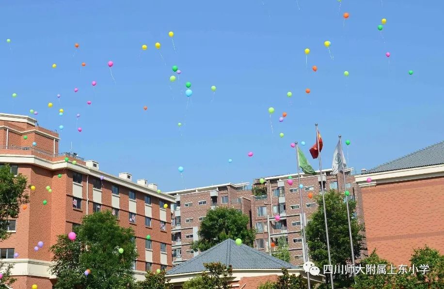 日坛中学阳光上东小学图片