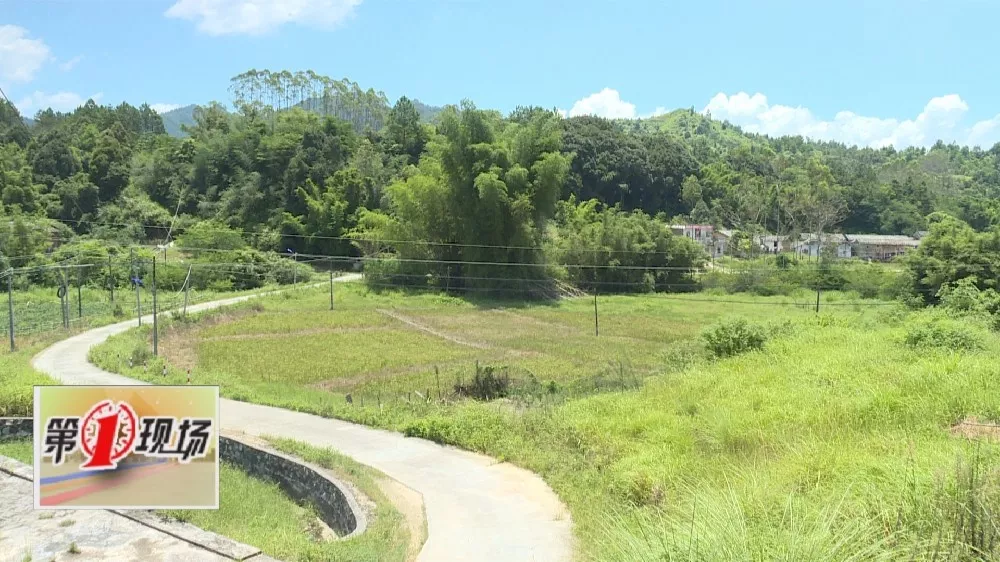 宝口镇佐坑村基础设施完善 村民出行安全