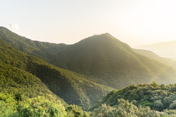 东莞第二高峰耀佛岭,野趣十足!