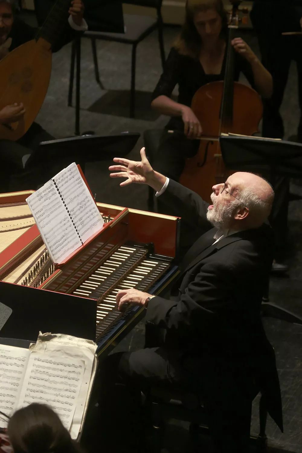 长期合作的有荷兰阿姆斯特丹皇家音乐厅,巴黎香榭丽舍剧院,德国慕尼黑