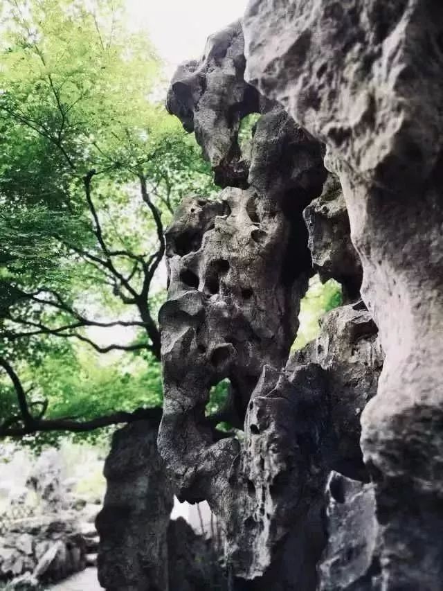 历史上遗留下来的著名太湖石有苏州留园的"冠云峰