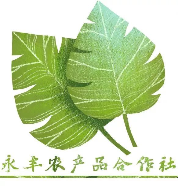 【2019眾創共善-農產品夢工廠計劃】永豐農產品合作社形象標識(logo)