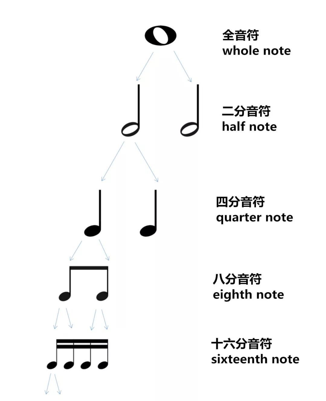 超讚乾貨 | 你感興趣的五線譜基礎知識都在這裡了!_音符