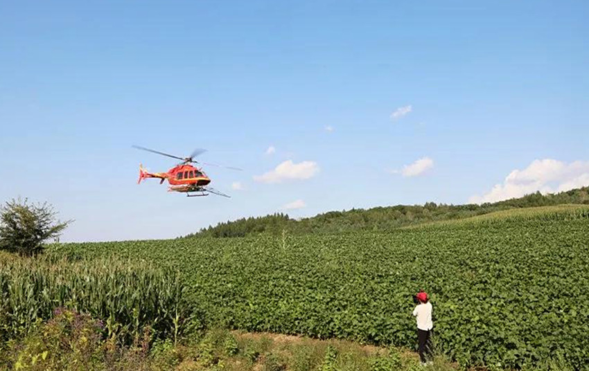 吉林抚松 6万亩大豆地上空的"红蜻蜓"