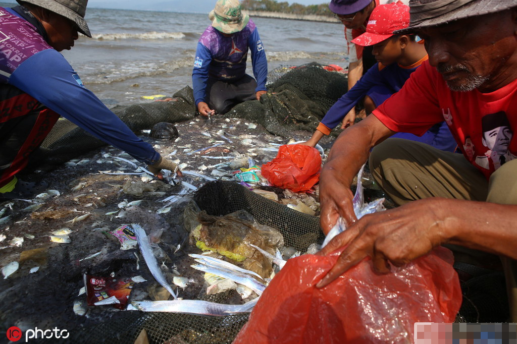 印尼渔民在海边垃圾中"捞鱼"