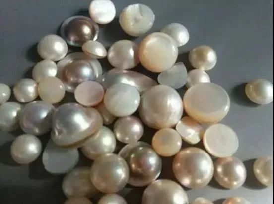 科普贝珠也是一种假珍珠