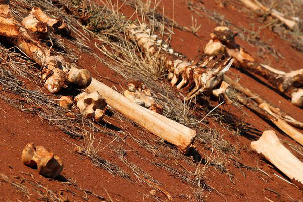 意大利那不勒斯和瓦维尔诺附近的死亡谷却和美国的死人谷恰恰相反