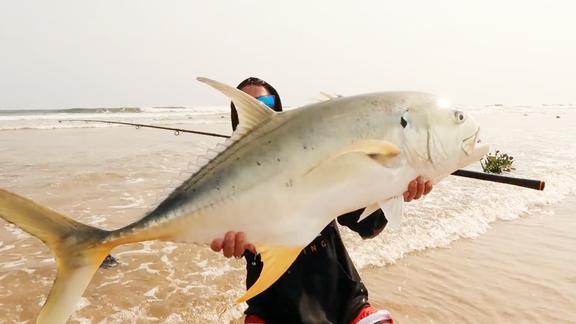 沙滩巨浪里路亚奋力拉起怪物级巨鯵鱼