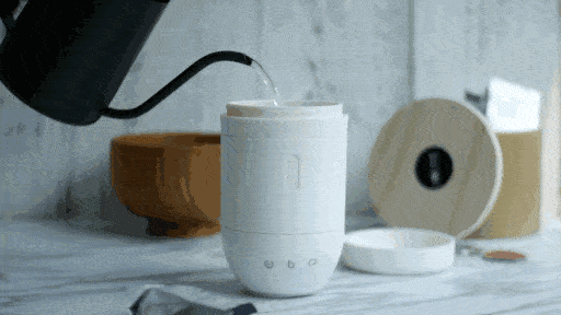 在滚烫的热水中历练,翻滚,渐渐舒展,最后沉落杯底,在一遍遍冲泡之后