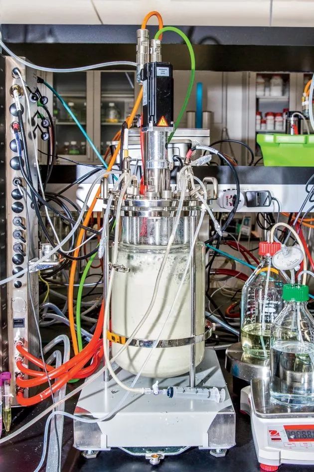 design:我们在dna层面上去创造专门用于生产蛋白质的微生物的细胞.