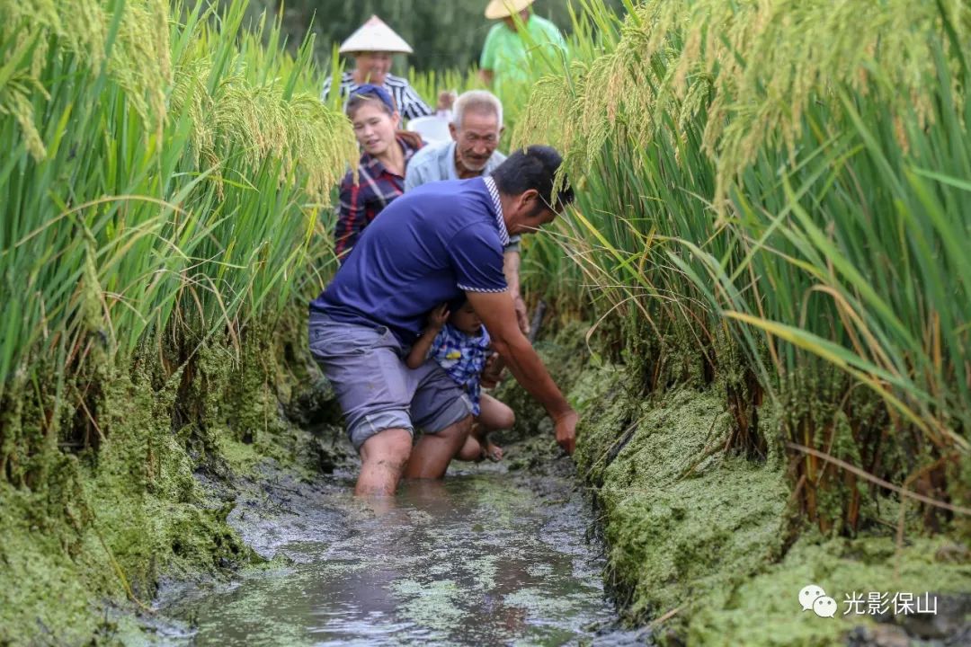 今天就和你家買魚哈哈 皇上駕到--抓到一條