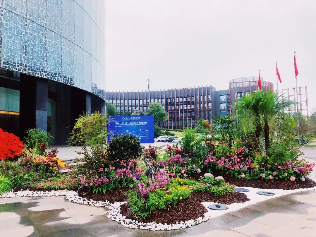 世园园林公司圆满完成2019欧亚经济论坛外围环境绿化提升工作