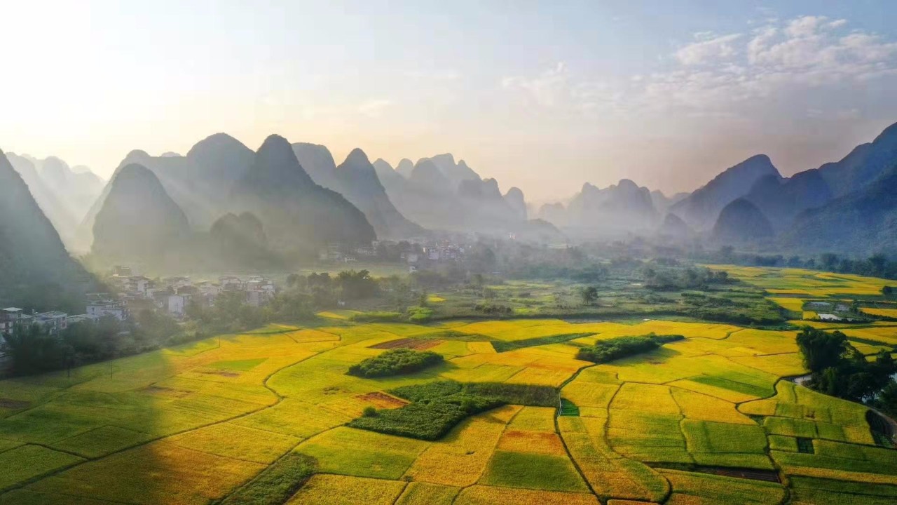 美不胜收阳朔惊现网红稻谷田今天你打卡了吗