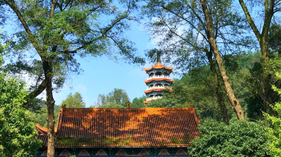 10月17日-20日 湖南藥山.竹林禪院 參學