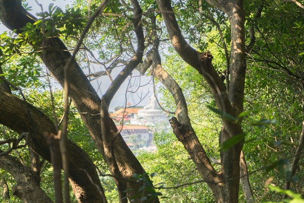 东莞第二高峰耀佛岭,野趣十足!