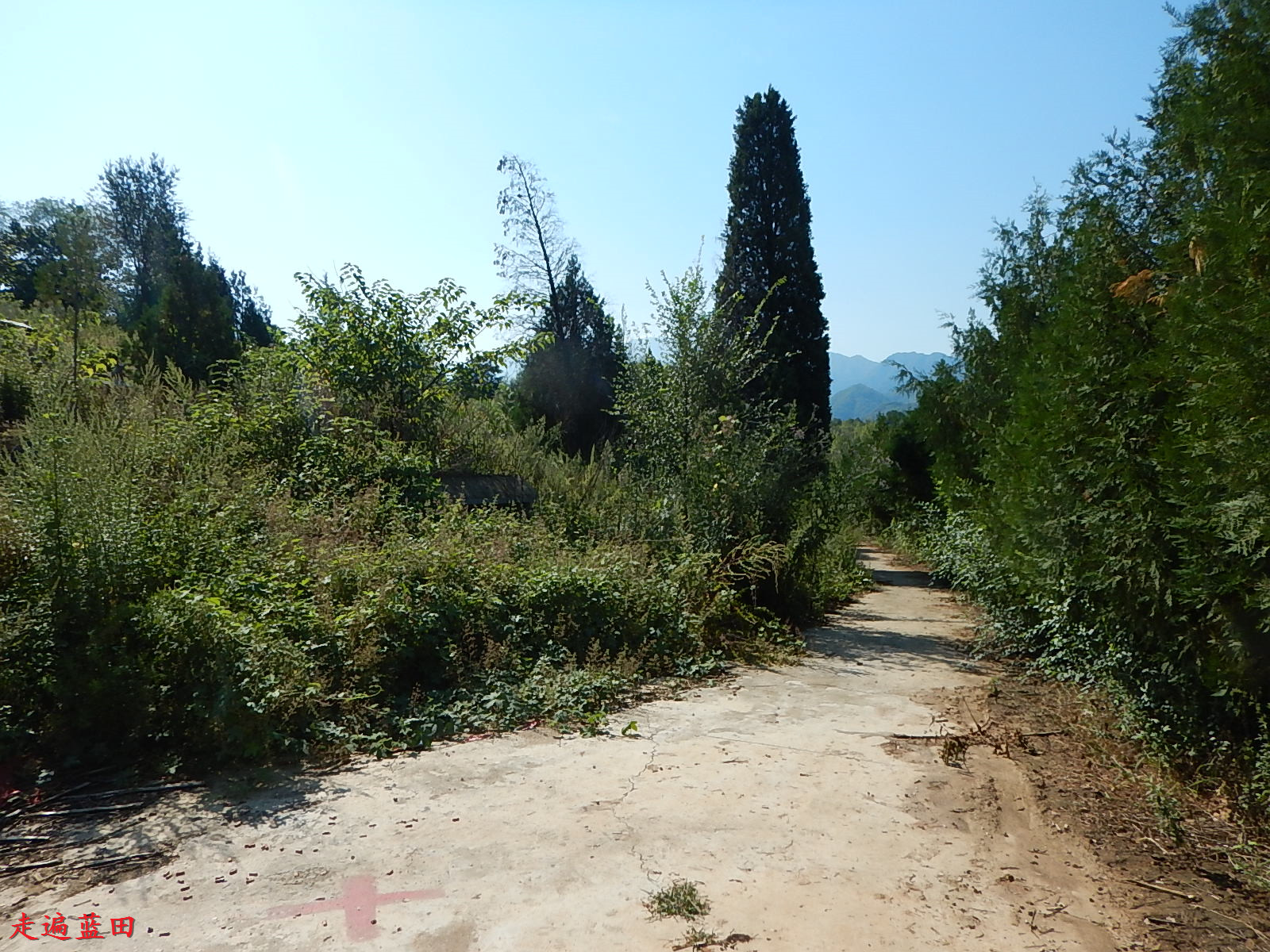 走遍蓝田2019焦岱镇谢家岭村穿越旅行1