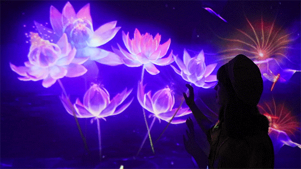 600_338gif 动态图 动图