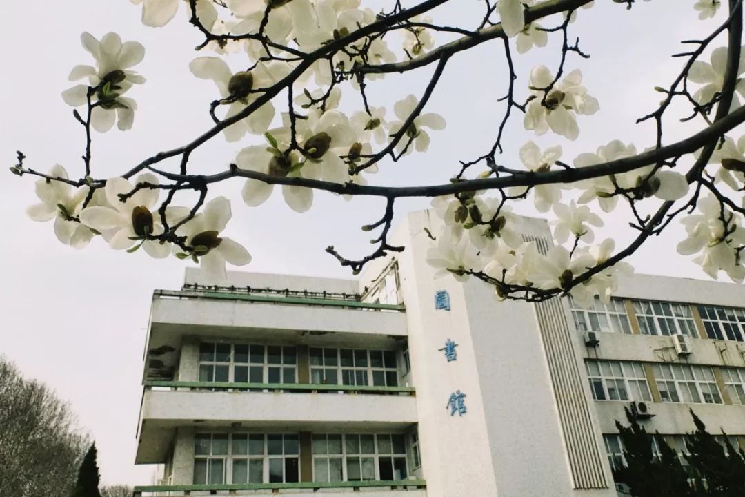 五脏俱全",这里有紫金校区虽然占地面积不大,南京师范大学紫金校区