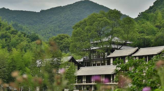 10月17日-20日 湖南药山.竹林禅院 参学