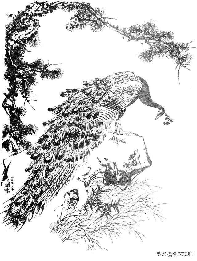 孙其峰画孔雀的技法