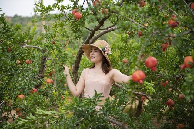 组织一次石榴人像拍摄活动,用镜头记录石榴熟了醉美画卷