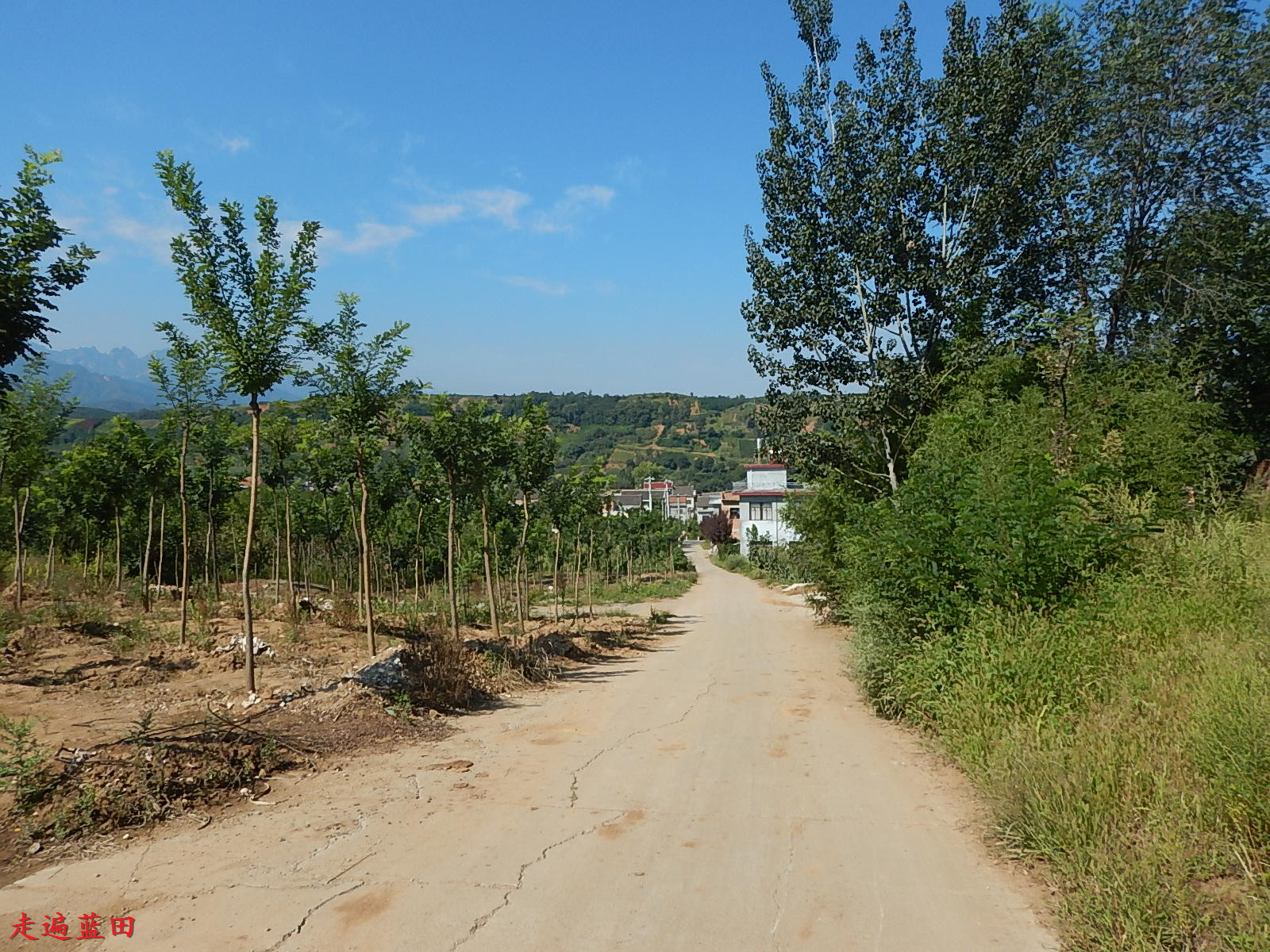 走遍蓝田2019焦岱镇谢家岭村穿越旅行1