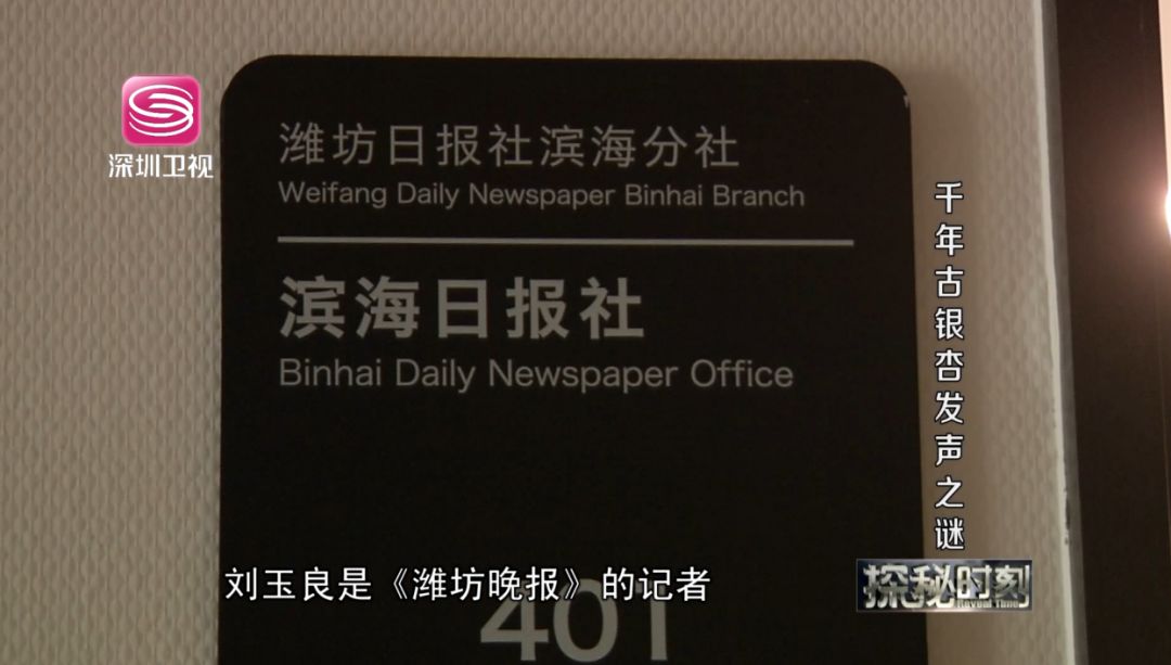 安丘城顶山千年银杏树会发声深圳卫视探秘时刻栏目组带你解密