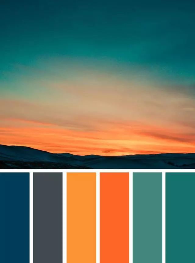 最美的配色都藏在自然中