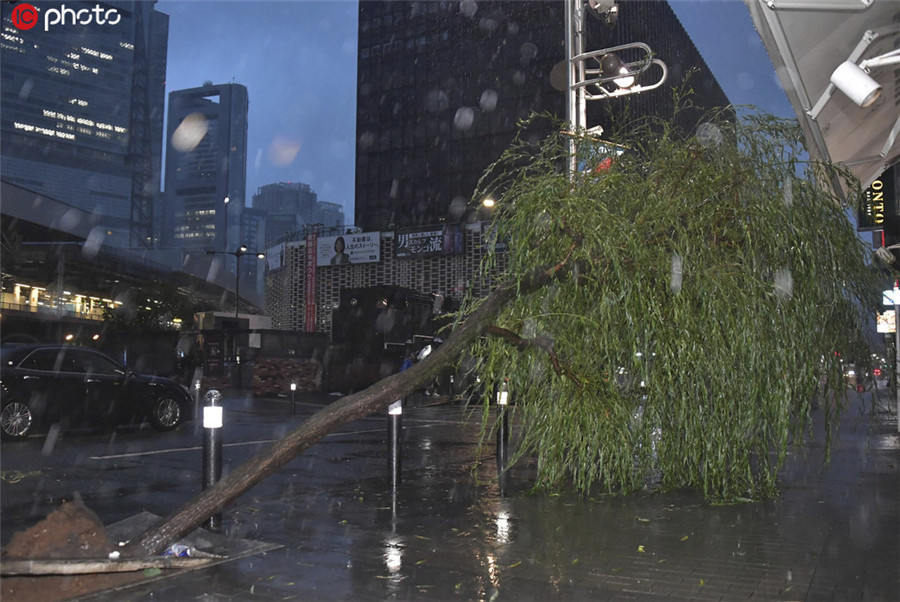 强台风法茜登陆日本带来强风暴雨列车停运树木被拦腰折断