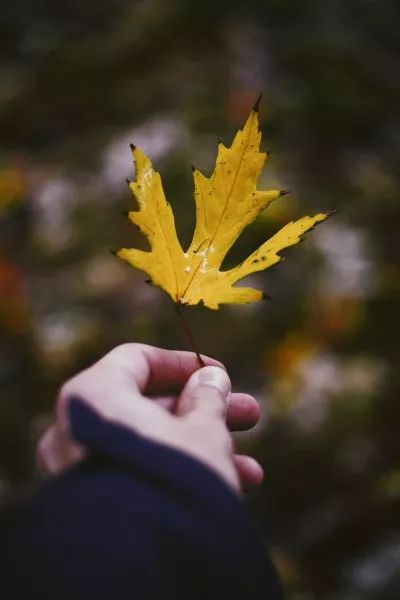 作者:春暖花开 朗诵:南飞新的一天,愿你心有花开,一路芬芳