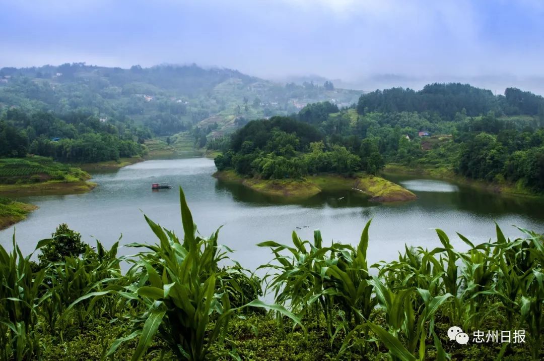 壮丽70年奋斗新时代忠县发展成就巡礼汝溪镇梦里水乡宜居宜业
