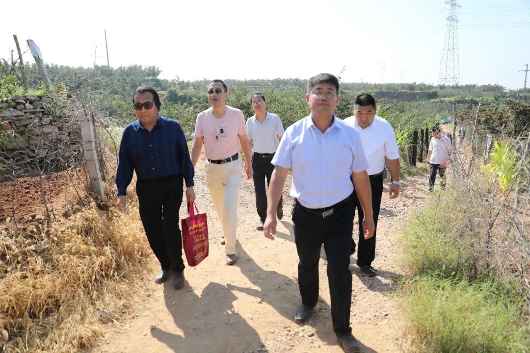 文化专题报道新泰作家摄影家金秋刘杜行采风笔会成功举行
