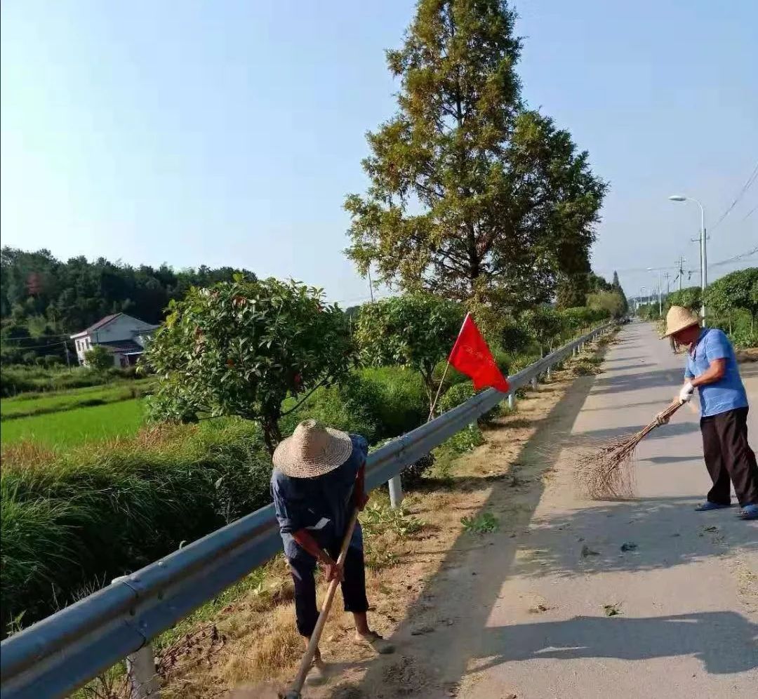 五零建设94金井镇新沙村党员群众齐努力发扬示范作用共建五零村