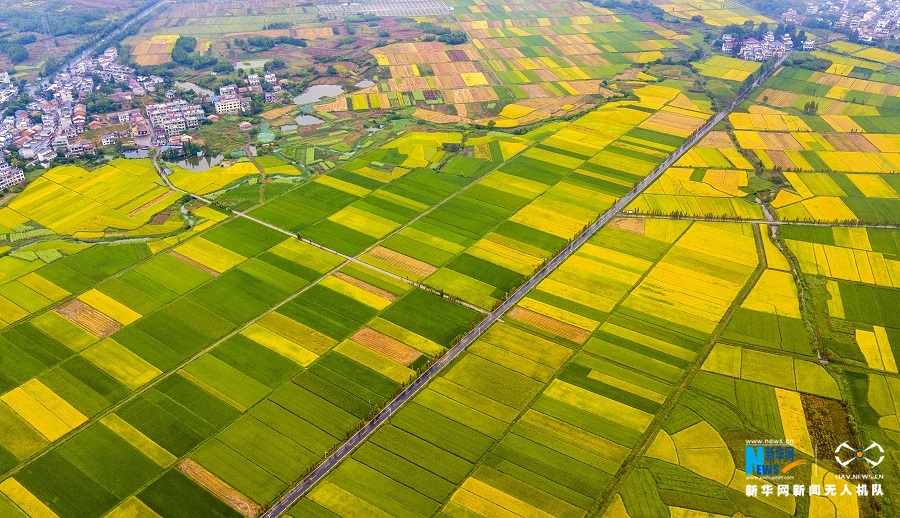江西新余:秋日田园色彩斑斓_农田