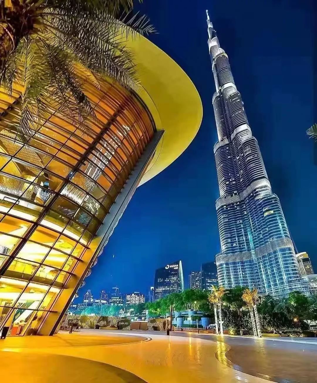 《早春二月》《图兰朵》中,他们有的是猜错谜题而送命的"波斯王子",有