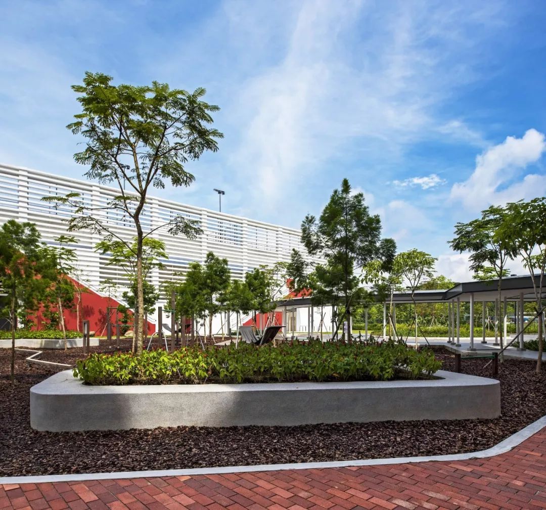 老师:这届校园景观是我见过最美的!_设计