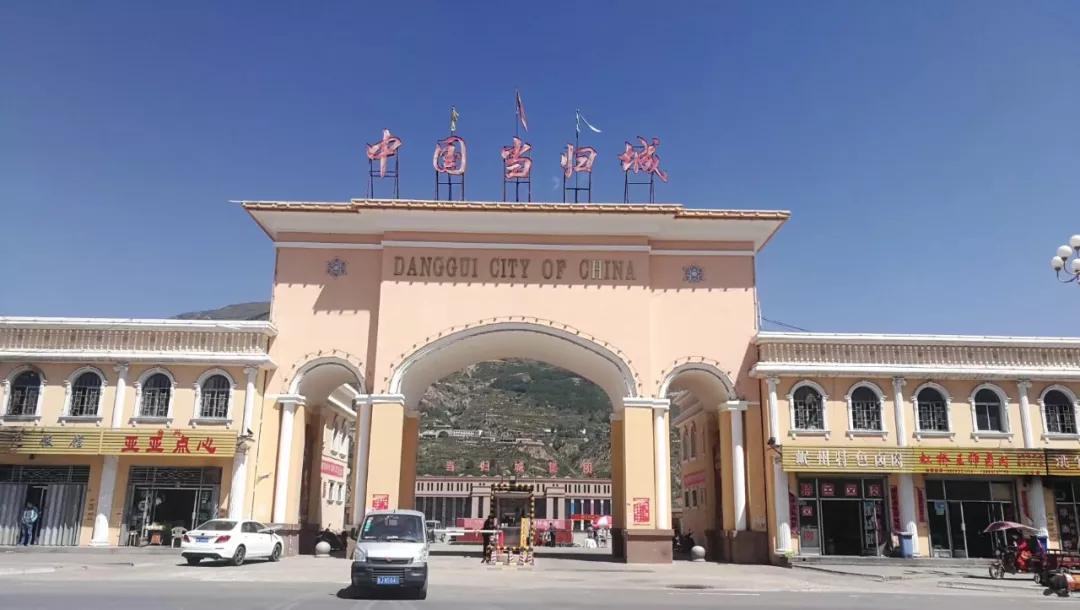 甘肃岷县 · 中国当归城,与综合性中药市场不同,产地市场主营当地大