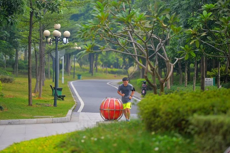 壮丽70年61寮厦篇集体资产40年增长了近2000倍