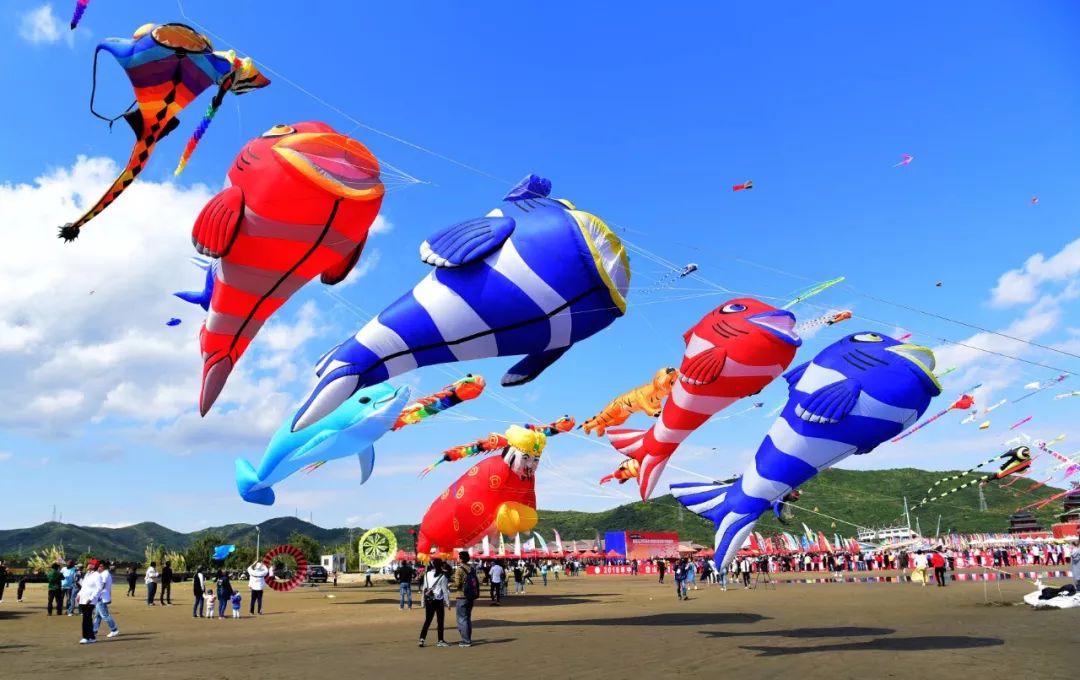 剧透福利2019中国岱山岛国际风筝节要来了