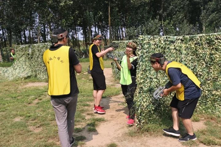 神盾纸,盾,盾(第3页)_大山谷图库