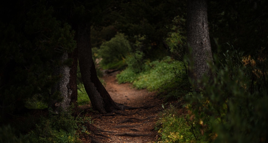 从乡镇经销商到中小工厂，家电行业厂商数量今年开始净流出-家电圈官网
