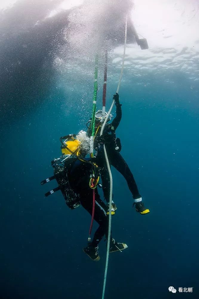 这才是现实版的怒海潜将美国海军潜水员训练图集