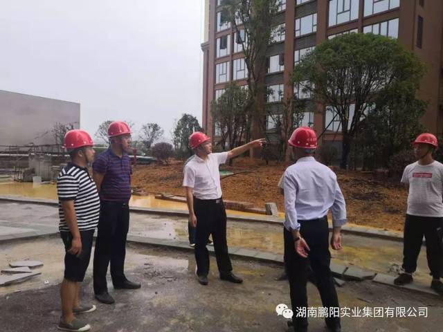 鹏阳集团董事长周鹏飞,检查指导西城首府等在建项目建设进展情况_隆回