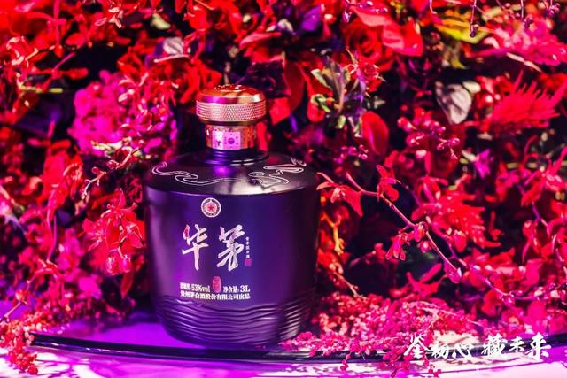 献给少数人的礼遇华茅鉴藏闪耀北京玩出了国风雅韵新境界丨现场