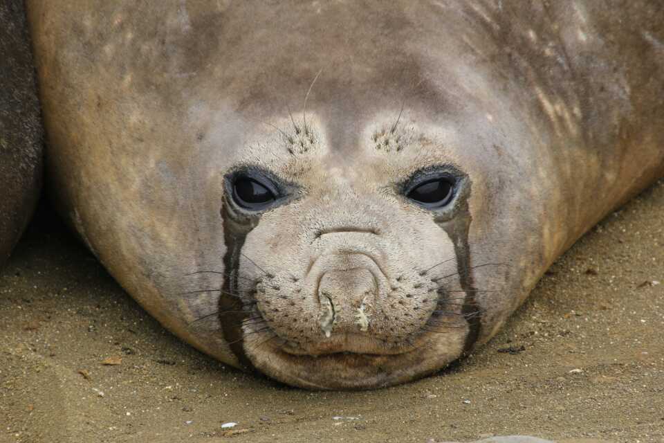 会插足好姐妹婚姻的生肖女