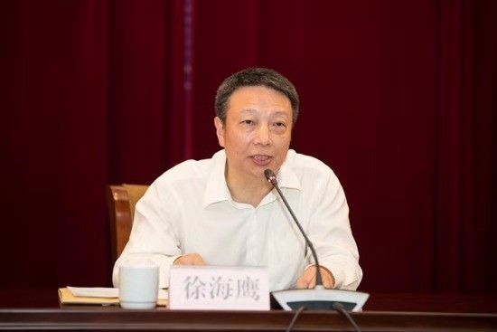 徐海鹰代表第二巡回指导组对闵行区全面深入开展"不忘初心,牢记使命"